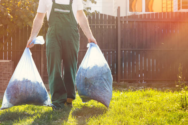 Best Shed Removal  in Brent, FL